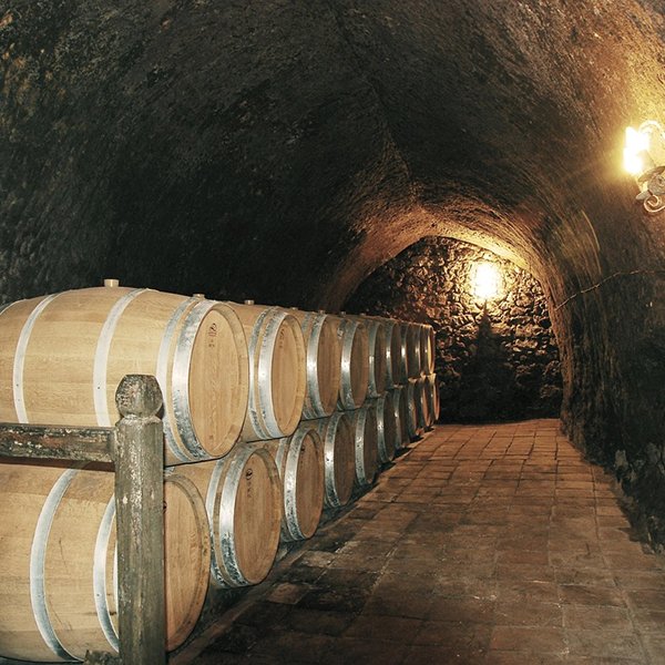 aoreste-winery-393060_1280 1